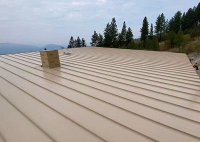 Interior Roofing beige metal roof